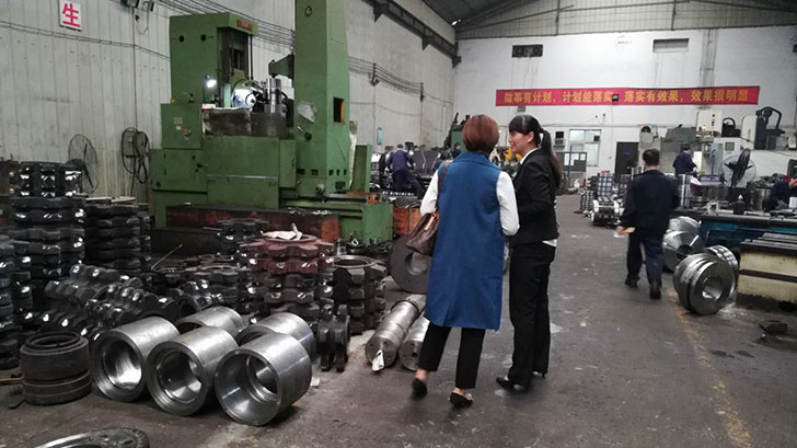 沈經理來廠參觀